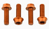 Water Bottle Cage Bolts (4 pack)