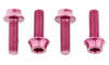 Water Bottle Cage Bolts (4 pack)
