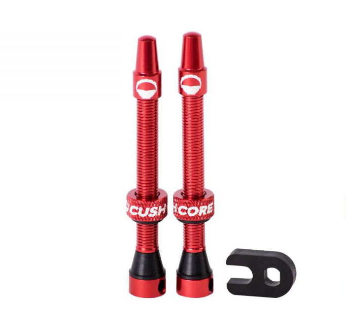 44mm Tubeless Valves