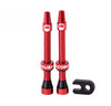 55mm Tubeless Valves