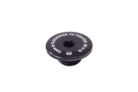 Derailleur Hanger Retention Bolt