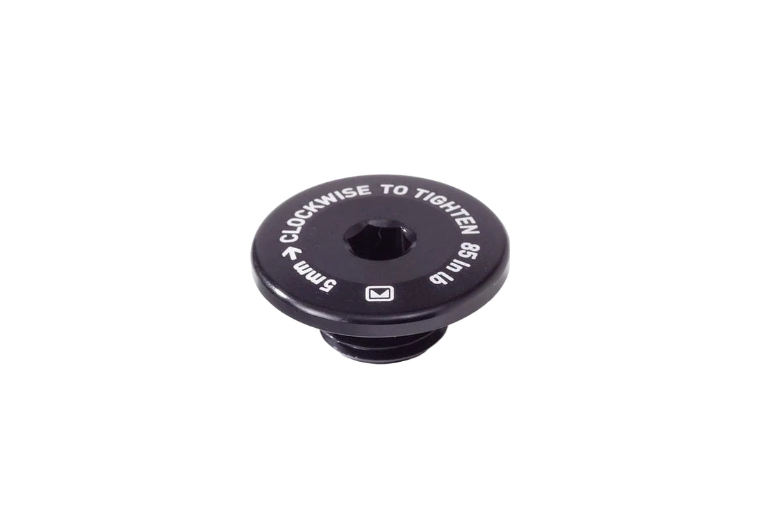 Derailleur Hanger Retention Bolt