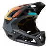 Proframe Helmet