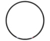 Fuse 29" Carbon 28h Rim
