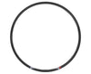 Sector 29" Carbon 32h Rim
