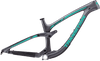 Sentinel Carbon Decal Set - 2019 / Matte Finish