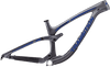 Sentinel Carbon Decal Set - 2019 / Matte Finish