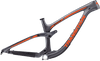 Sentinel Carbon Decal Set - 2019 / Matte Finish