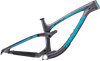 Sentinel Carbon Decal Set - 2019 / Matte Finish
