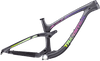 Sentinel Carbon Decal Set - 2019 / Matte Finish