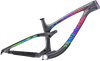 Sentinel Carbon Decal Set - 2019 / Matte Finish