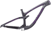 Sentinel Carbon Decal Set - 2019 / Matte Finish