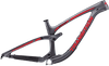 Sentinel Carbon Decal Set - 2019 / Matte Finish