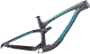 Sentinel Carbon Decal Set - 2019 / Matte Finish