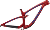 Sentinel Carbon Decal Set - 2019 / Matte Finish