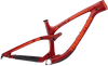 Sentinel Carbon Decal Set - 2019 / Matte Finish