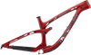 Sentinel Carbon Decal Set - 2019 / Matte Finish
