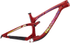 Sentinel Carbon Decal Set - 2019 / Matte Finish