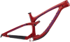 Sentinel Carbon Decal Set - 2019 / Matte Finish