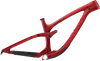 Sentinel Carbon Decal Set - 2019 / Matte Finish
