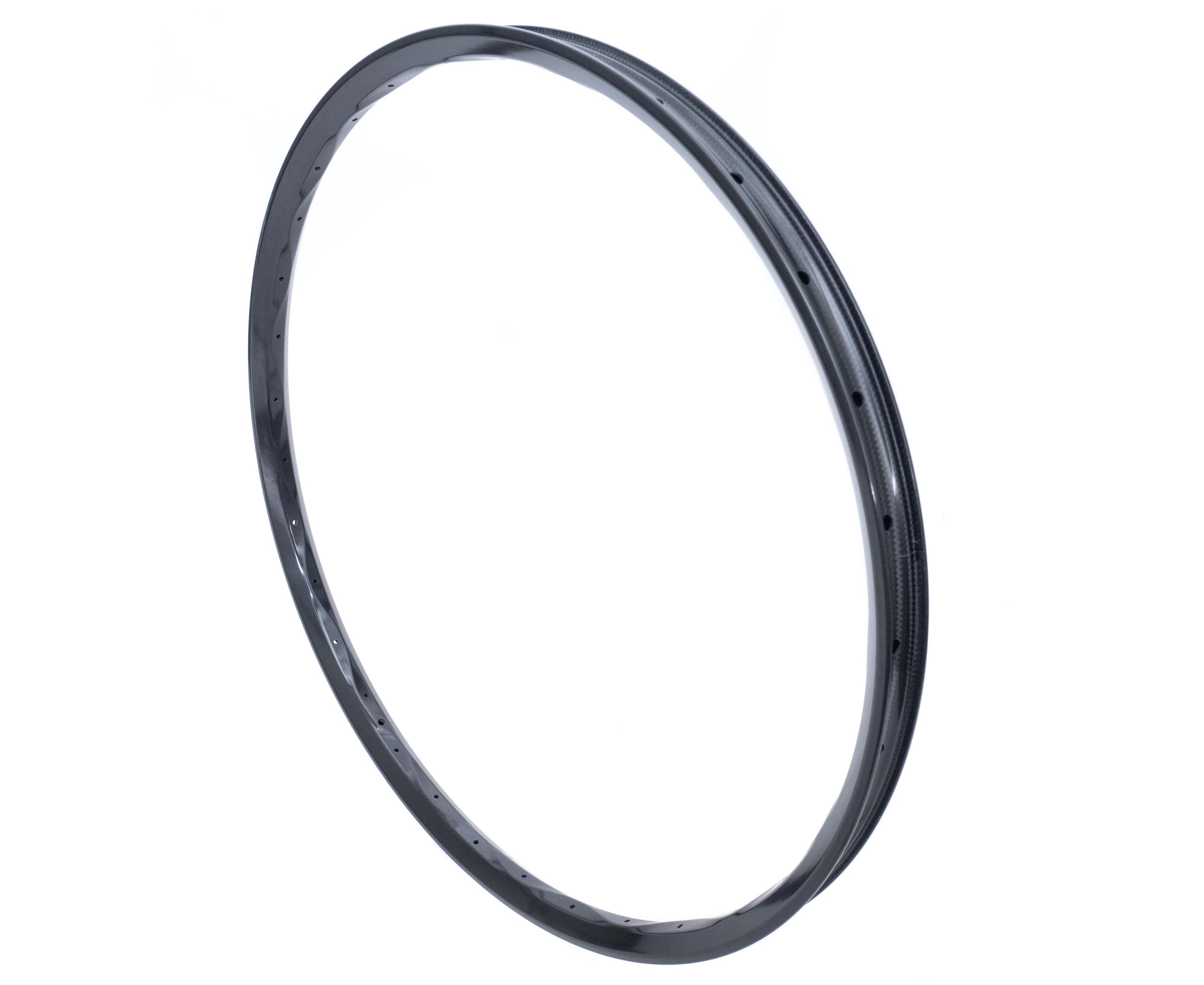 Triad V2 29" Carbon 28h Rim