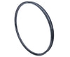 Triad 29" Carbon 32h Rim