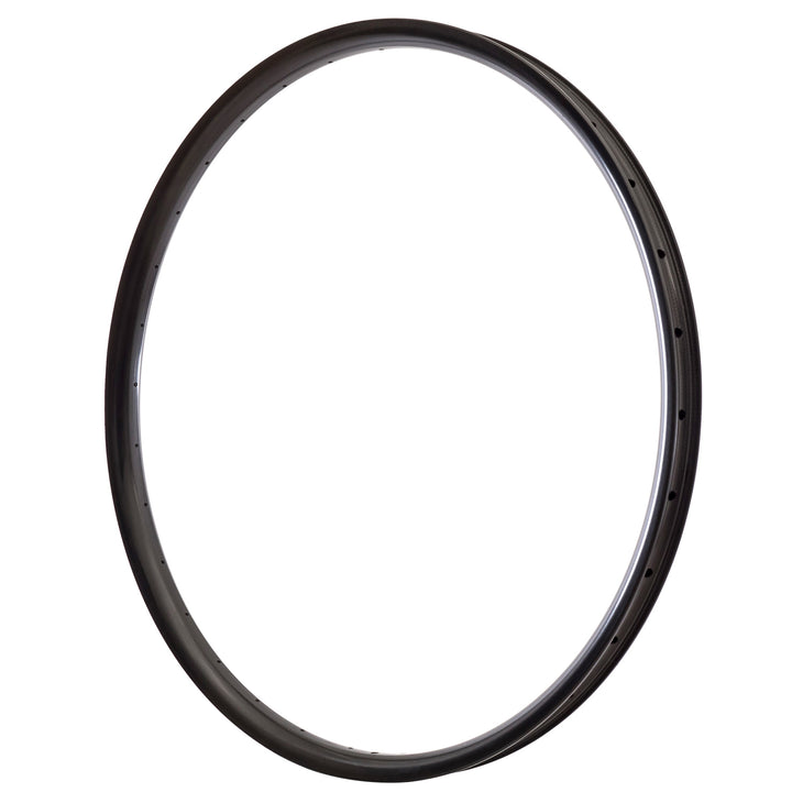 Convert 29" Carbon Rim